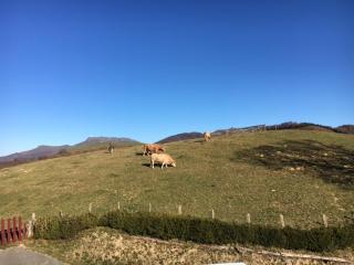 Casa Katton - Etxalar - 2