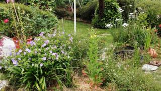 Hillside View - 2