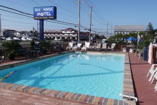 Sea Horse Motel - Brant Beach - 7