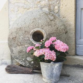 B&B Antico Mulino - Camugnano - 5