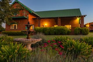Olive Tree Farm - Magaliesburg - 2