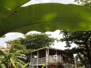 Treehouse Apartment at La Lodge at Long Bay - Corn Island - 9