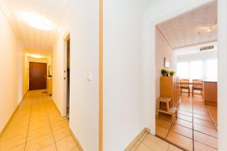 ALEGRIA ID106 - Torrevieja - 5