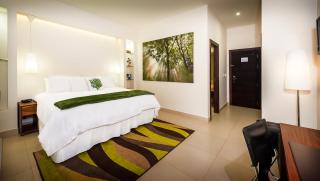 Elements Hotel Boutique - Managua - 1