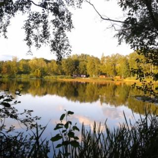 My Secret Garden - Diepenbeek - 8