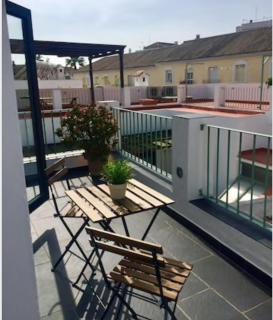 Atico/Loft en Zona Céntrica V - Jerez de la Frontera - 9