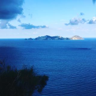 La Vite - Ponza - 4