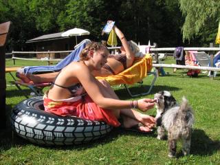 Ferienwohnungen Mitterer - 2