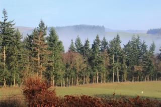 Dee Valley Cottages - 7