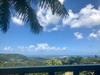 Million dollar view in Puerto Rico - Luquillo - 2