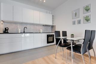 Wave Apartments Nowa Grobla Old Town - Danzig - 7