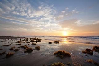 Island Serenity - South Padre Island - 6