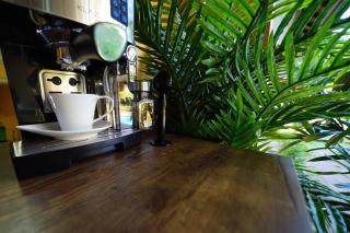 Mangga Bungalow - Sanur - 6