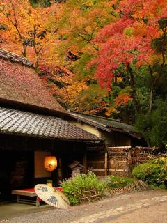 Ben's Guesthouse Kyoto - Kyoto - 5