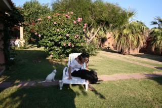 Verdemare Sardegna Due Villette - Villasimius - 2