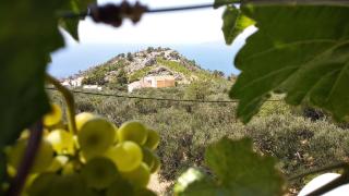 Apartment Ivo Veliko Brdo - Makarska - 0