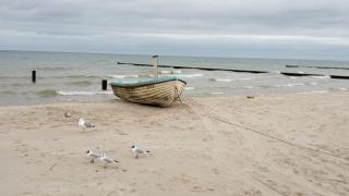 moderne 3-Raum Ferienwohnung Strandmöwe mit Panoramafenster - 3