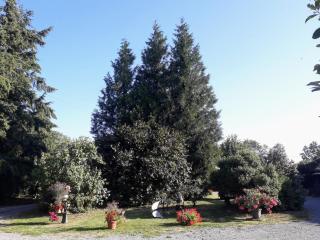 la ferme des tertres - La Chapelle-près-Sées - 1