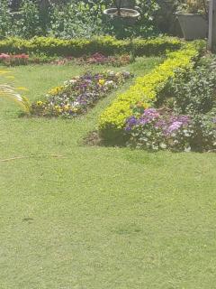 Heritage Homestay - 5