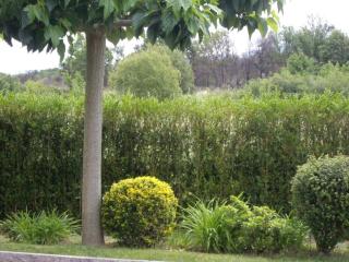 Casa Raposeira - Ourense - 2