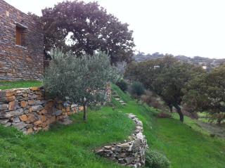 Under Royal Oaks - Péra Meriá - 3
