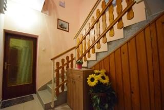 Apartments Mira - Starigrad-Paklenica - 9