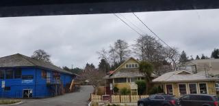 Tofino Paddlers Inn - Tofino - 5