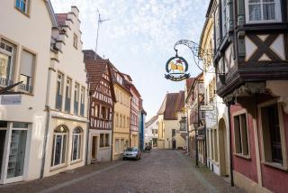 FeWo Gundelsheim - Gundelsheim - 8