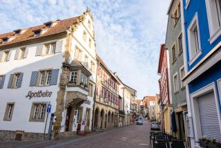 FeWo Gundelsheim - Gundelsheim - 5