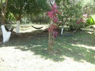 Fajardo Peaceful Place - Playa Sardinera - 4