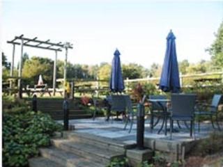 Blue Ball Inn, Sandygate, Exeter - Exeter - 3