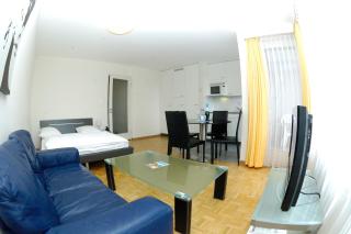 Nice studio with view over the city - Vineyard 52 - Zurigo - 4