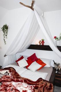 Forsthaus-Ferienhotel am Dobrock - Wingst - 3