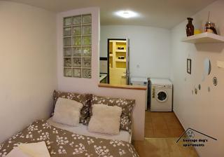 Sausage dog's apartments - 2