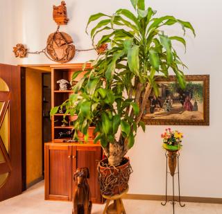 Albergo Della Corte - Benevento - 4