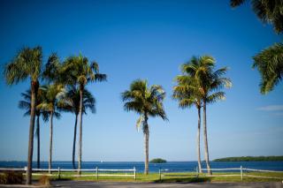 Resort Harbour Properties - Fort Myers / Sanibel Gateway - Punta Rassa - 1