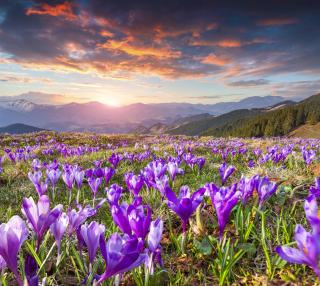 Osada Kościelisko - Tatry na Wyciągnięcie Ręki - 9