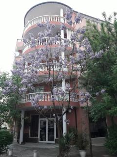 Art Guest House Orchidea - 0