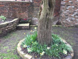 Domvilles Farm self catering Courtyard Stable - Alsager - 3