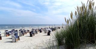 Ferienhaus Blumenmeer - Norderney - 3