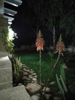 Beach House Salento - 2