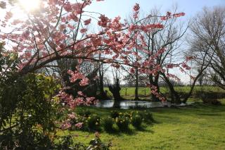 Le bourgis - La Chapelle-Montligeon - 3