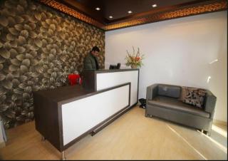 Hotel Green Leaf Srinagar - Srinagar - 3