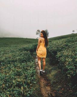 Buton Backpacker Lodge - Bandung - 3
