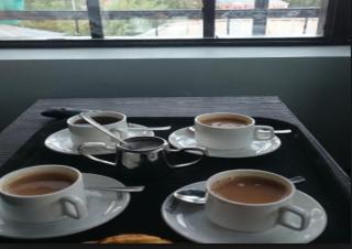 Hotel Green Leaf Srinagar - Srinagar - 6