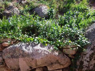 Casa Myrta 3 étoiles - 2