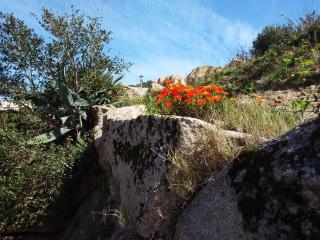 Casa Myrta 3 étoiles - 9