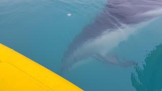 K'orca Cottage by the Sea - 1