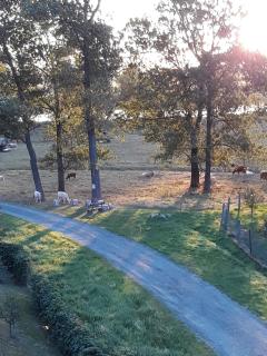 An den Elbwiesen GZ FeWo Elbeblick Nur Nichtraucher - 3