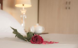 Forest Valley Cottages - Knysna - 6